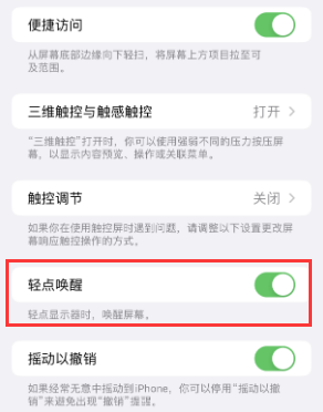 泸定苹果授权维修站分享iPhone轻点无法唤醒怎么办 