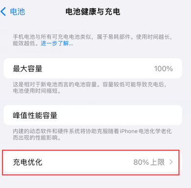 泸定苹果15充电维修分享如何在iPhone15上设置充电上限