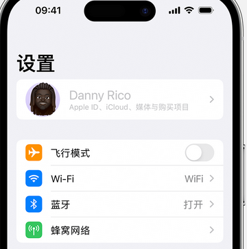 泸定appleID维修服务iPhone设置中Apple ID显示为灰色无法使用 