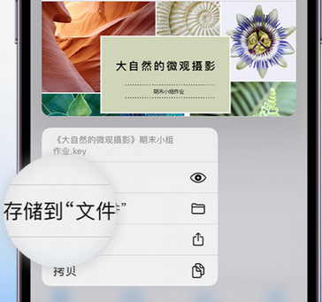 泸定apple维修中心分享iPhone文件应用中存储和找到下载文件