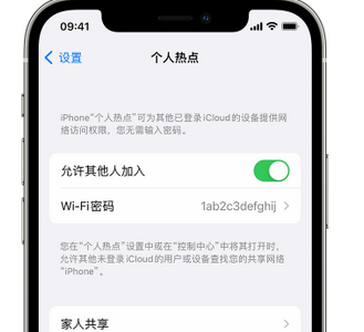 泸定apple服务站点分享iPhone上个人热点丢失了怎么办 