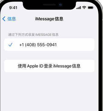 泸定apple维修iPhone上无法正常发送iMessage信息