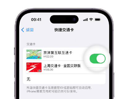 泸定apple维修点分享iPhone上更换Apple Pay快捷交通卡手绘卡面 