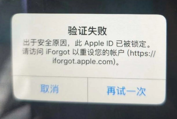 泸定iPhone维修分享iPhone上正常登录或使用AppleID怎么办 