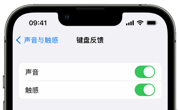 泸定苹果手机维修分享iPhone 14触感键盘使用方法 