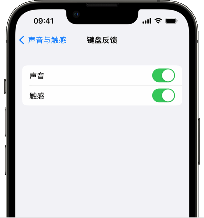 泸定苹果14维修店分享如何在 iPhone 14 机型中使用触感键盘 