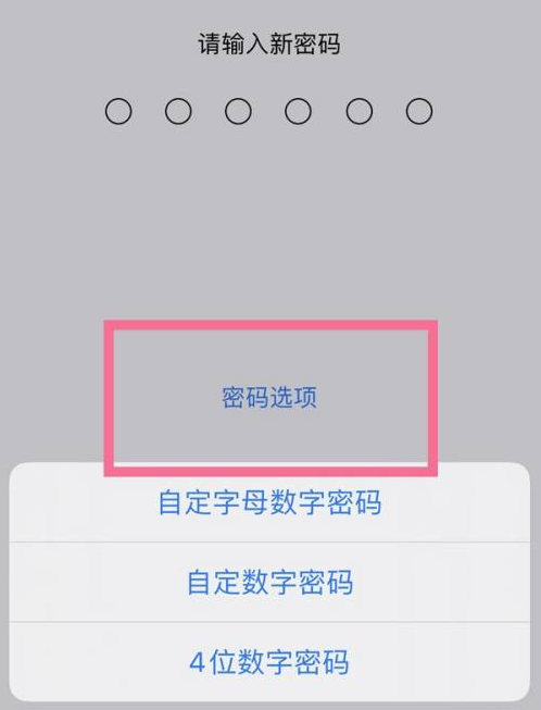 泸定苹果14维修分享iPhone 14plus设置密码的方法 