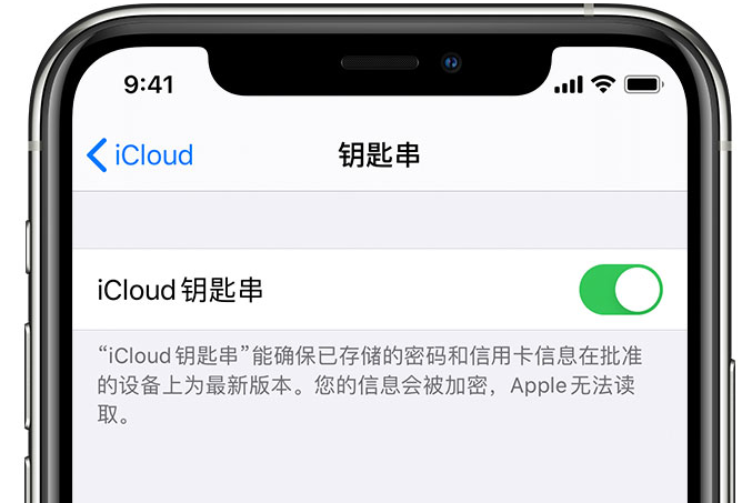 泸定苹果手机维修分享在 iPhone 上开启 iCloud 钥匙串之后会储存哪些信息 