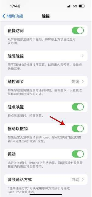 泸定苹果手机维修分享iPhone手机如何设置摇一摇删除文字 