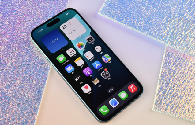 泸定苹果手机维修分享为什么大家不喜欢苹果iPhone 16 Plus 